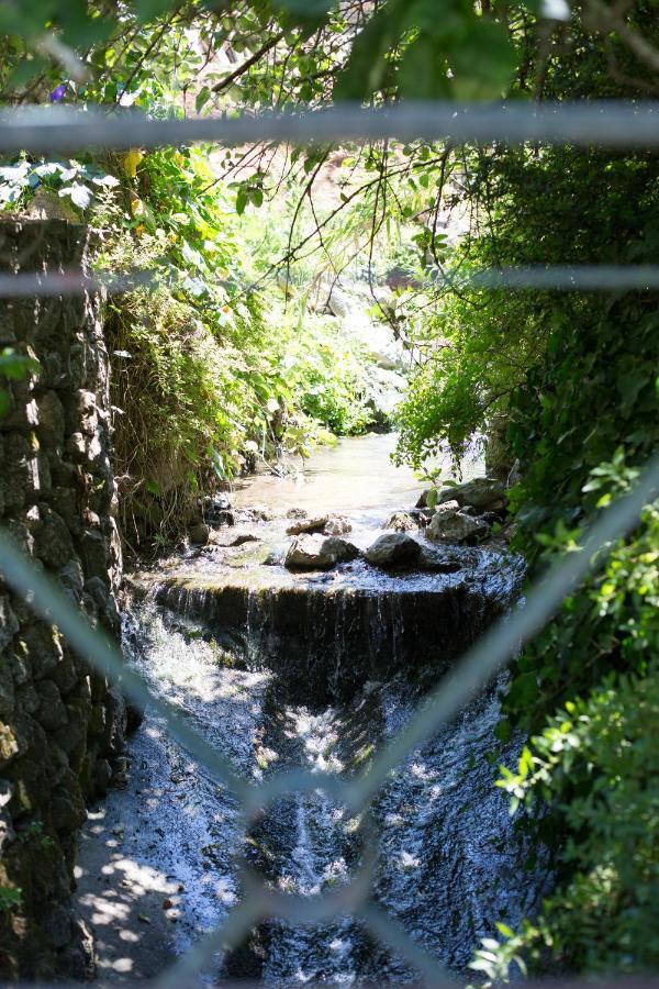 Sintra Center Guest House Escape To Nature Exterior photo
